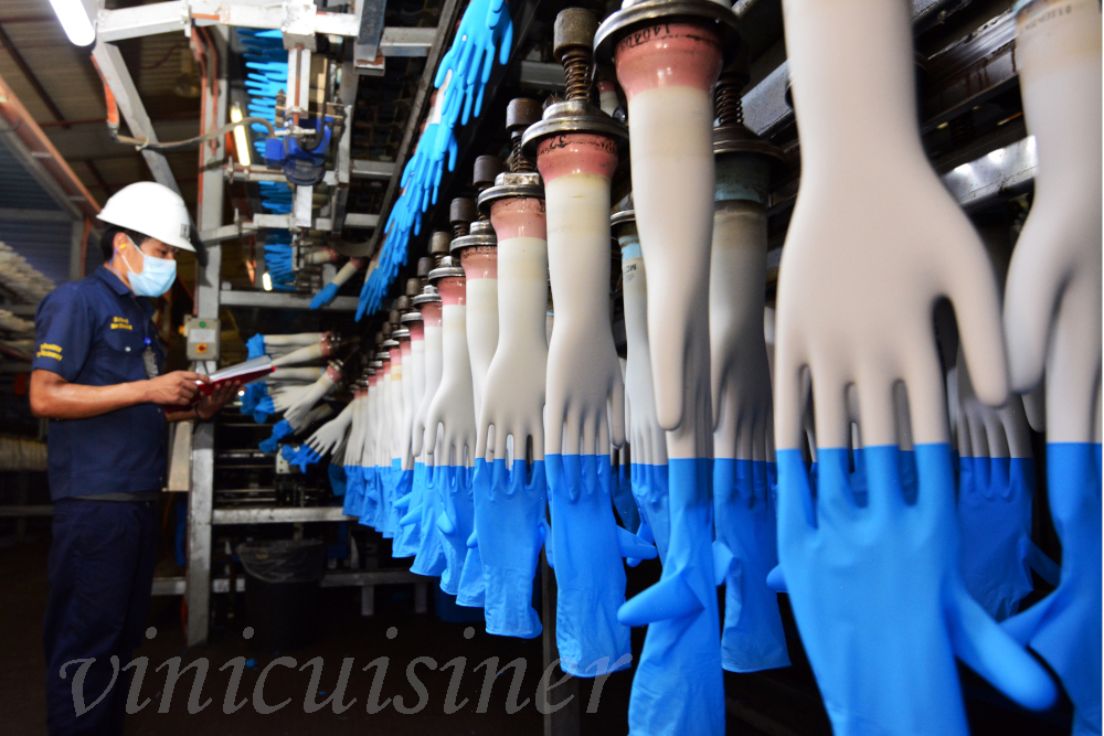 Top Glove บริษัทซัพพลายเออร์ ถุงมือใช้แล้วทิ้งอันดับต้น ๆ ของโลกกำลังเฟื่องฟูเนื่องจากการแพร่ระบาด แม่พิมพ์สีขาวสวมถุงมือแบบใช้แล้วทิ้ง