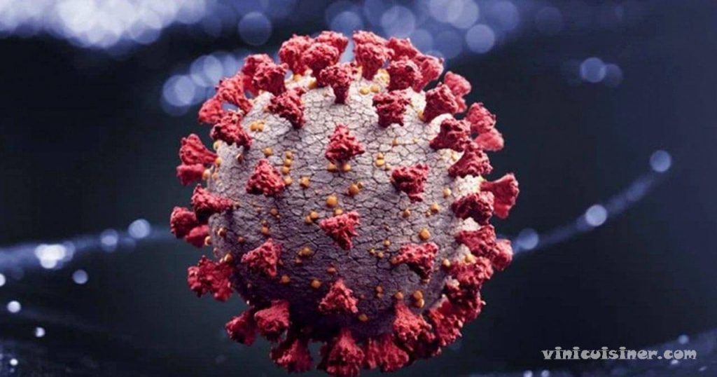 โคโรนาไวรัสสายพันธุ์ใหม่ ทำให้เกิดความกังวลหรือไม่ นักวิจัยกังวลเกี่ยวกับรายงานจากสหราชอาณาจักรและแอฟริกาใต้เกี่ยวกับโคโรนาไวรัสสายพันธุ์ใหม่