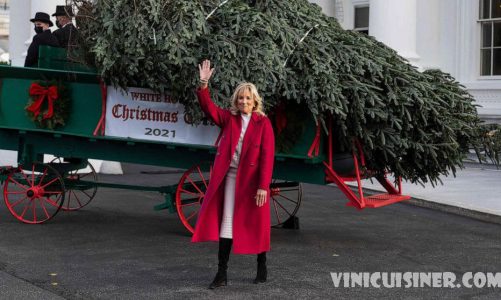 Jill Biden ยอมรับต้นคริสต์มาสของทำเนียบขาว