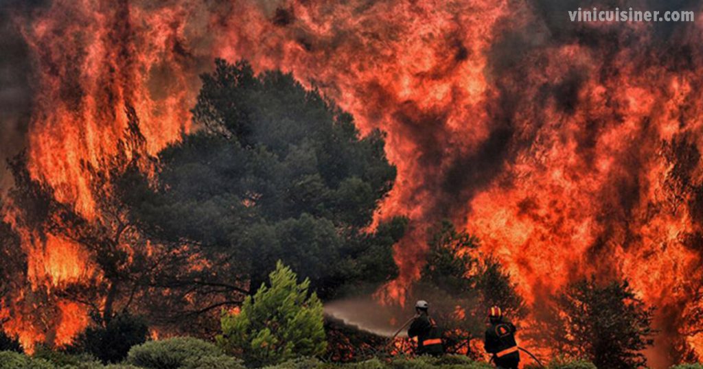 อะไรอยู่เบื้องหลังไฟป่าที่ร้ายแรงในยุโรป ไฟป่าครั้งใหญ่ในยุโรปกำลังเริ่มต้นขึ้นเมื่อต้นปีนี้ เกิดขึ้นบ่อยขึ้น สร้างความเสียหายมากขึ้น 